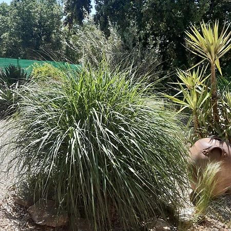 Le Calme De La Garrigue Bed & Breakfast Russan Ngoại thất bức ảnh