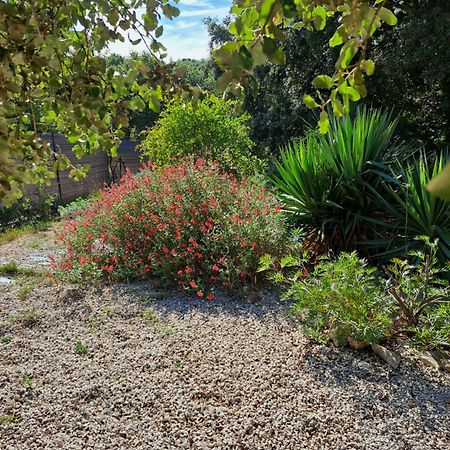 Le Calme De La Garrigue Bed & Breakfast Russan Ngoại thất bức ảnh