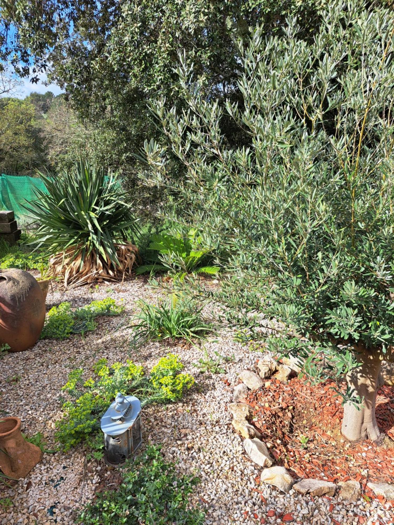 Le Calme De La Garrigue Bed & Breakfast Russan Ngoại thất bức ảnh