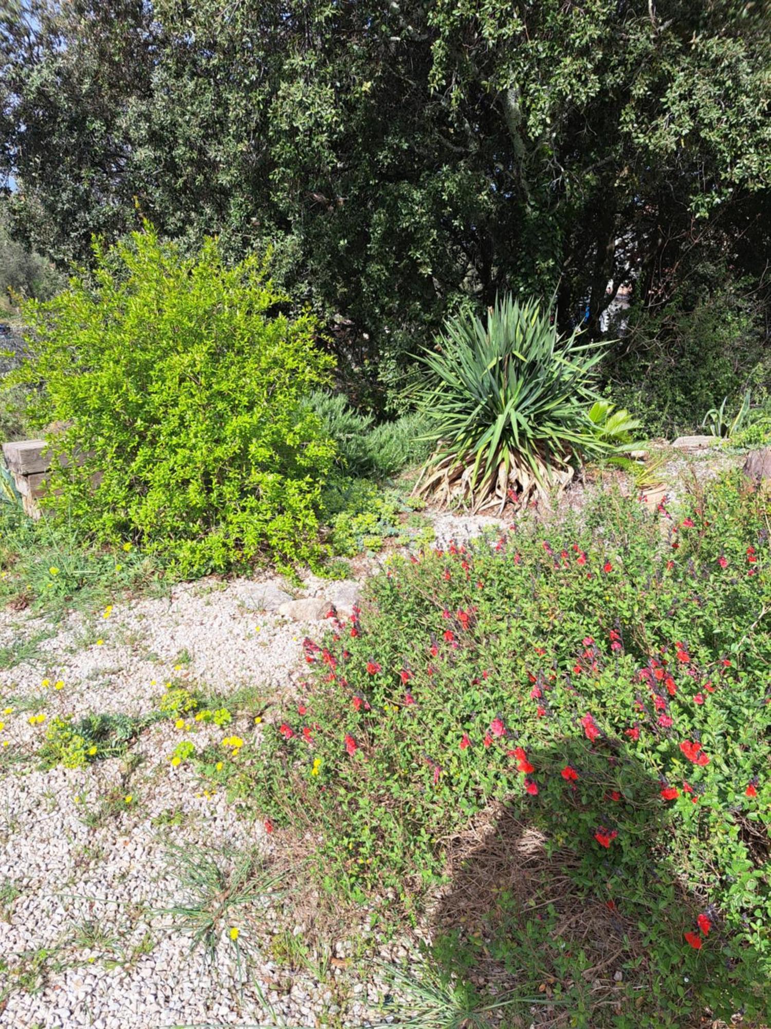 Le Calme De La Garrigue Bed & Breakfast Russan Ngoại thất bức ảnh