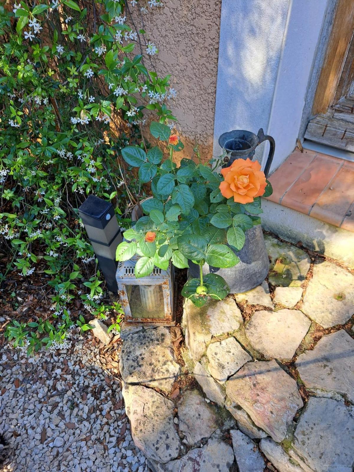 Le Calme De La Garrigue Bed & Breakfast Russan Ngoại thất bức ảnh