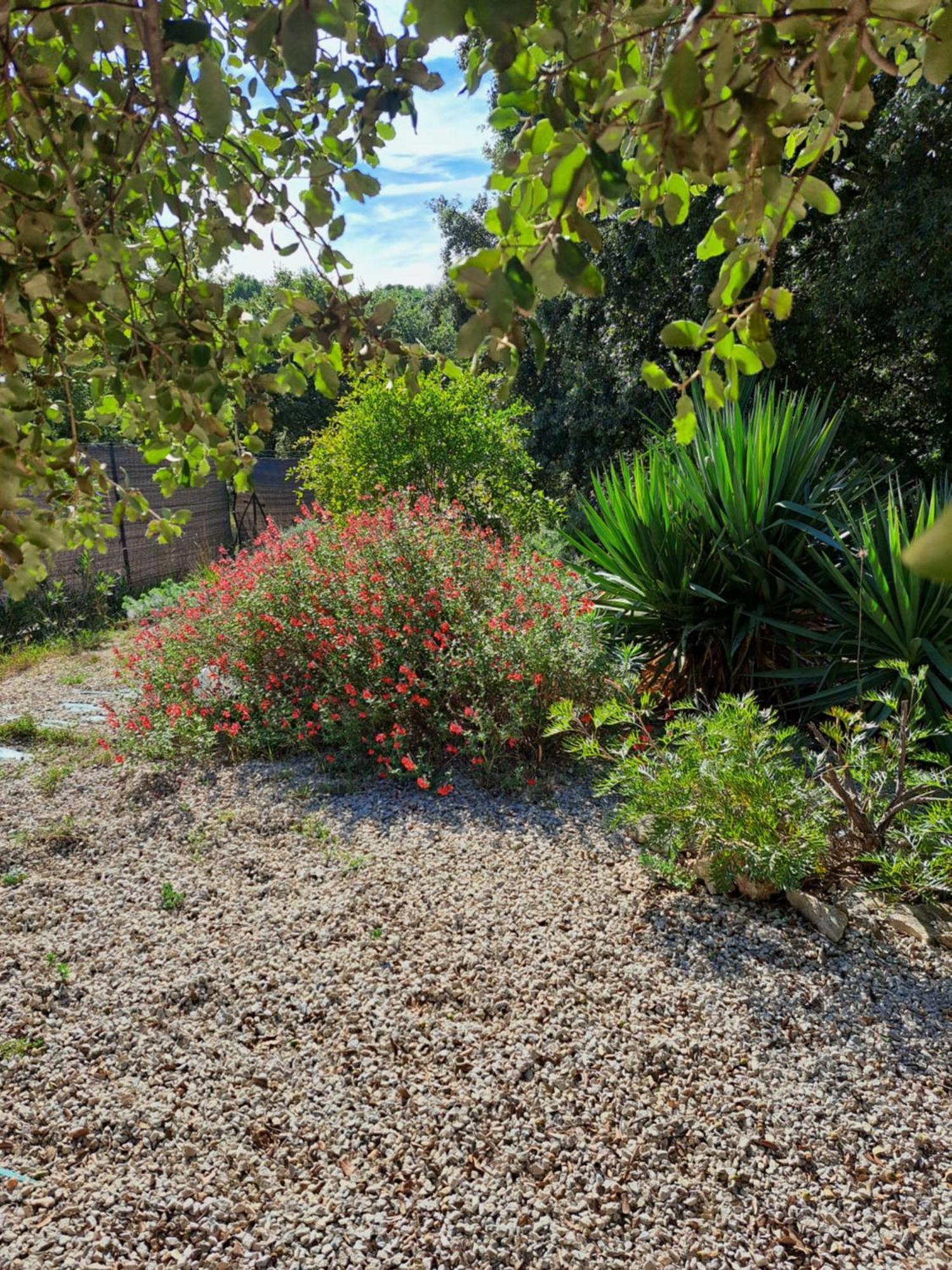 Le Calme De La Garrigue Bed & Breakfast Russan Ngoại thất bức ảnh
