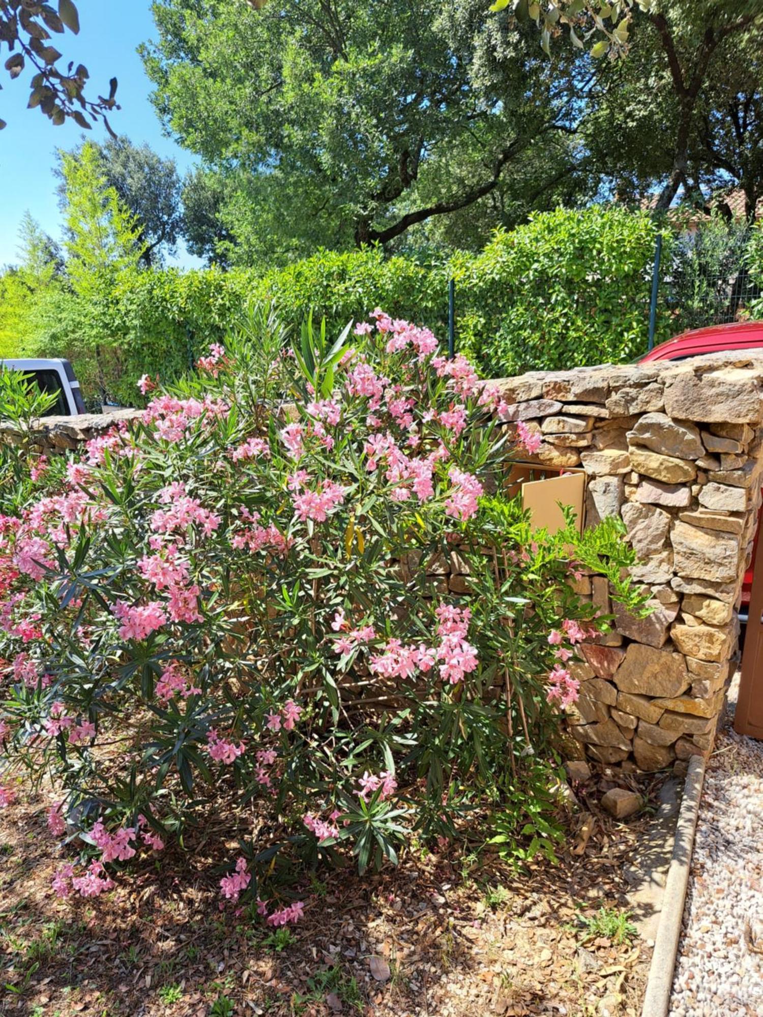 Le Calme De La Garrigue Bed & Breakfast Russan Ngoại thất bức ảnh